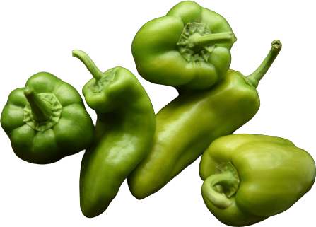 TR Paprika TR Paprika
