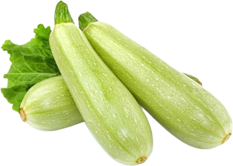 Zucchini weiß aus der Türkei